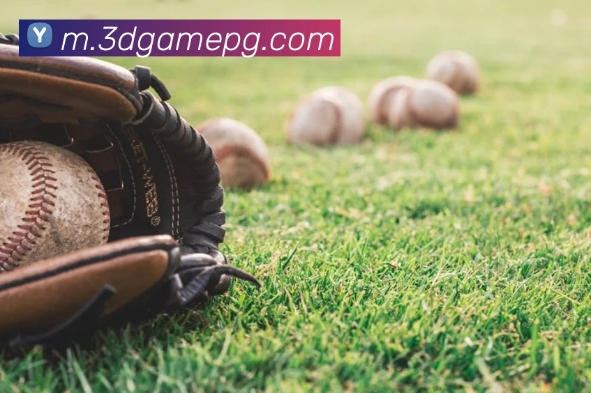 pg官网平台生态图